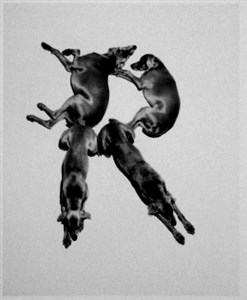 Image description is not available for 2001.076